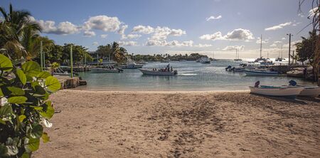 BAYAHIBE, DOMINICAN REPUBLIC 21 JANUARY 2020: Catamaran full of tourists arrives on Bayahibe beachのeditorial素材