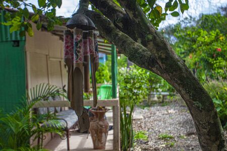 Hand made dreamcatcher in a tree in Dominican Republicの写真素材
