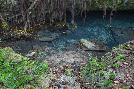 Cotubanama National Park in Dominican Republic, Padre Nuestro Section with typical vegetation inside and quarries such as the Cueva de Padre Nuestro and Cueva del Chicoの写真素材