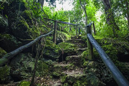 Cotubanama National Park in Dominican Republic, Padre Nuestro Section with typical vegetation inside and quarries such as the Cueva de Padre Nuestro and Cueva del Chicoの写真素材