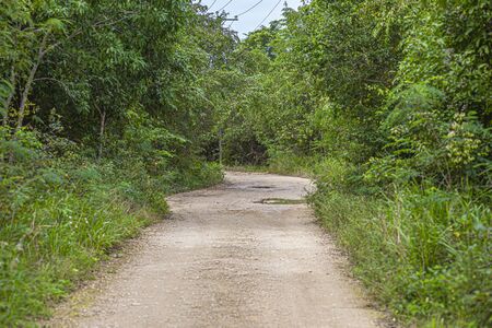 Cotubanama National Park in Dominican Republic, Padre Nuestro Section with typical vegetation inside and quarries such as the Cueva de Padre Nuestro and Cueva del Chicoの写真素材