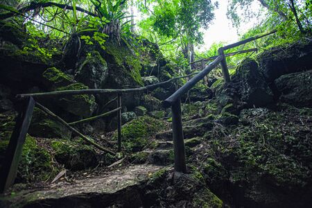 Cotubanama National Park in Dominican Republic, Padre Nuestro Section with typical vegetation inside and quarries such as the Cueva de Padre Nuestro and Cueva del Chicoの写真素材