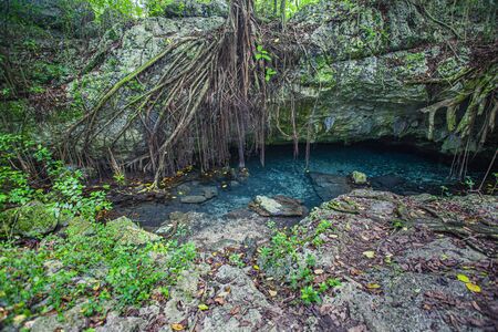 Cotubanama National Park in Dominican Republic, Padre Nuestro Section with typical vegetation inside and quarries such as the Cueva de Padre Nuestro and Cueva del Chicoの写真素材