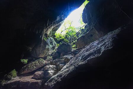 Cotubanama National Park in Dominican Republic, Padre Nuestro Section with typical vegetation inside and quarries such as the Cueva de Padre Nuestro and Cueva del Chicoの写真素材