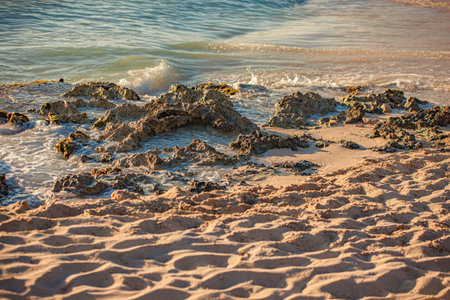 Shoreline detail in Dominicus with sand and rocks