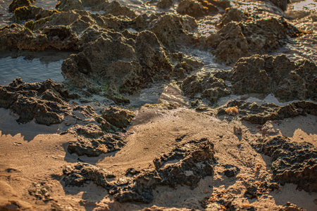 Shoreline detail in Dominicus with sand and rocks