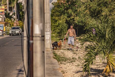DOMINICUS, DOMINICAN REPUBLIC 6 FEBRAURY 2020: Tattooed man walks the dogsのeditorial素材
