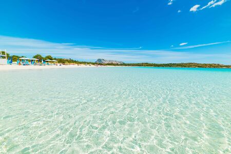 Caribbean beach seascape in a sunny day with transparent seaの写真素材
