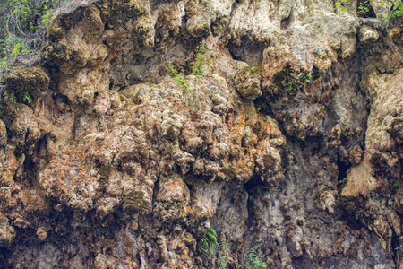 View from the bottom of the natural dripstone of Sa Stiddiosa: a rocky wall covered with vegetation...