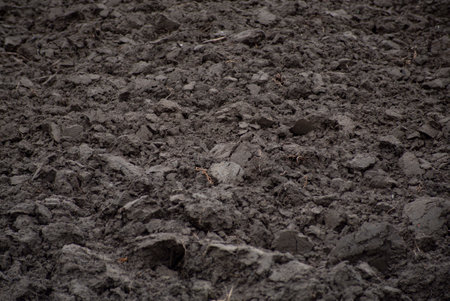 Detail of Plowed land texture in a field during winter periodの写真素材