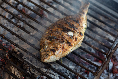 Sea bream on the grill 2の写真素材