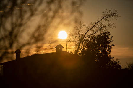 Landscape with Silhouette at sunset of tree and roofsの写真素材