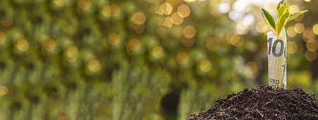 Economic Growth symbol one hundred euro bill with a plant or leaf growing out of the earth with blurred green background, banner image with copy spaceの写真素材