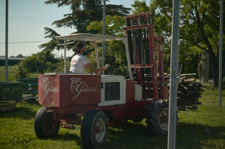 ROVIGO, ITALY 21 JULY 2021: Forklift in agricultureのeditorial素材
