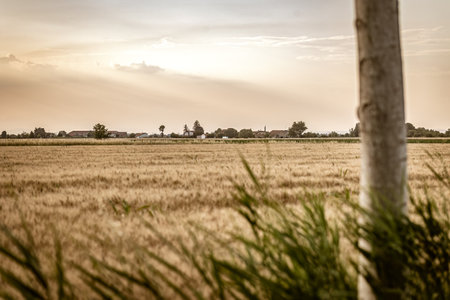 Sweeping view of a lush field in the countryside of northern Italy.の写真素材