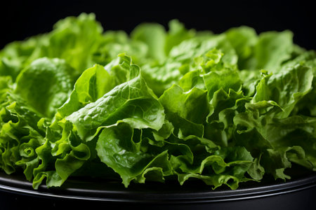 Close-up of fresh raw organic spinach leaves, an essential ingredient for healthy and nutritious meals.の素材