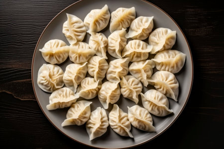A composition of tasty Gyoza, showcasing the essence of Japanese and Korean cuisine.の素材