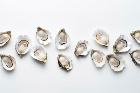 A delicious food composition featuring succulent oysters. Gourmet seafood photography on display. Image with copy space.の素材