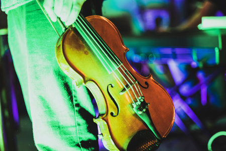 Musician holding a violin during a live performance under green and purple stage lights