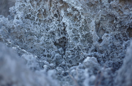 Close-up of a porous volcanic rock surface, highlighting its intricate texture and unique formation in Tulum, Mexicoの写真素材