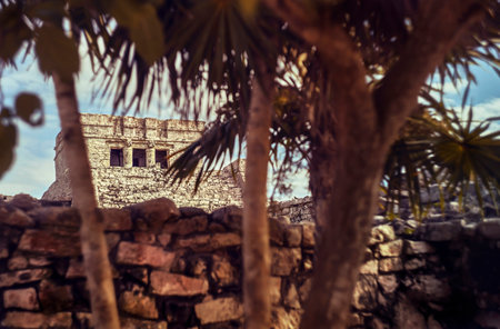 Palm trees framing ancient Mayan ruins in Tulum, Mexico, evoke a sense of mystery and discoveryの写真素材