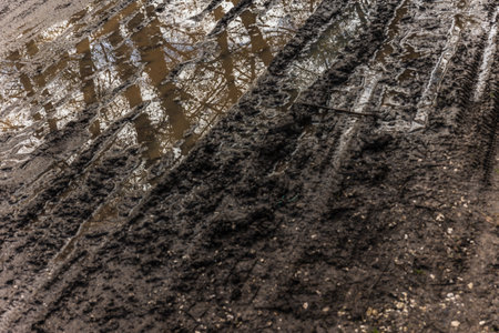 Tire tracks crossing puddles reflecting trees on a muddy road near a lake, creating a picturesque rural sceneの写真素材