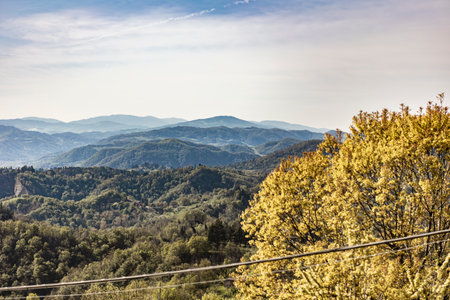 Scenic spring view overlooking rolling hills and lush green valley, featuring a vibrant tree in the foregroundの写真素材