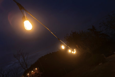 String of edison-style light bulbs creates a warm and inviting ambiance against a dark evening skyの写真素材