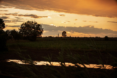 Orange and yellow sunset reflecting on a puddle in the countryside, with a small town and its bell tower in the backgroundの写真素材