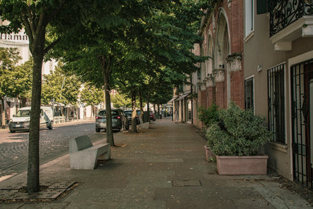 Rovigo, Italy 21 June 2025, Corso del Popolo with parked cars, trees, benches, and buildings in Rovigo, Italyの写真素材