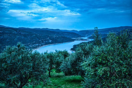 Stunning twilight view of lake coghinas in sardinia, italy, with an olive grove adding a touch of...