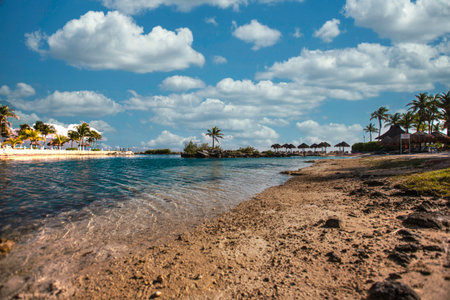 Crystal-clear turquoise water gently laps the sandy shore of a beautiful beach, dotted with palm...