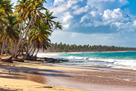 Tropical beach with leaning palm trees, turquoise water and waves crashing on the shore in playa...