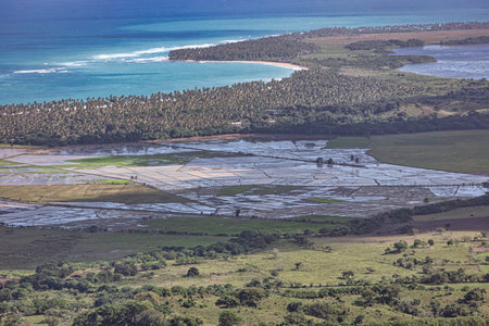 Lush vegetation frames a serene scene of white sand meeting crystal-clear turquoise waters under a...