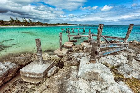 Golden sand beach reflecting clouds and coconut palm trees at playa limon in samana, dominican republicの写真素材