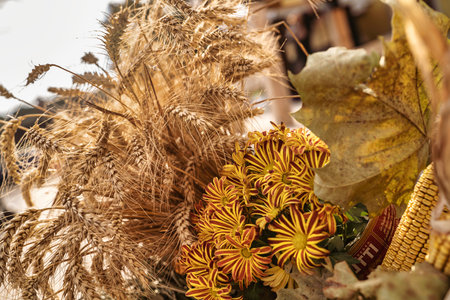 Wheat ears, ripe corn, and colorful autumn flowers arranging a bountiful seasonal display, capturing the essence of fall harvest and nature's generosityの写真素材