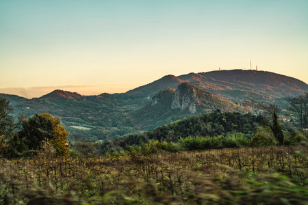 Euganean hills panorama showing rolling mountains, green valleys, and a vineyard in the foreground,...
