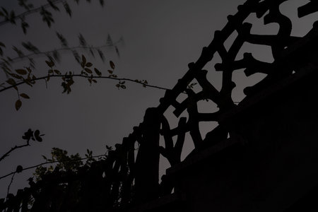 Silhouette of a decorative fence and thorny branches create a gloomy and mysterious atmosphere...