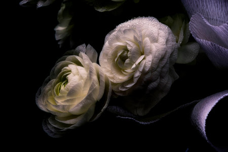 Two white flower