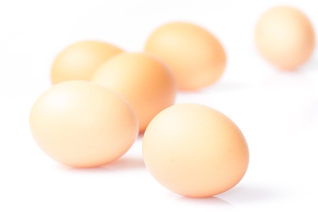 eggsの写真素材