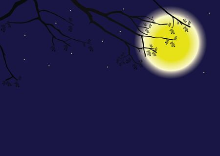 Shadow branch under the moonlightのイラスト素材