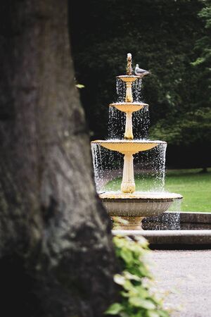 The famous iron fountain in Sheffield Botanical Gardens framed behind a tree in Summer of 2019の写真素材