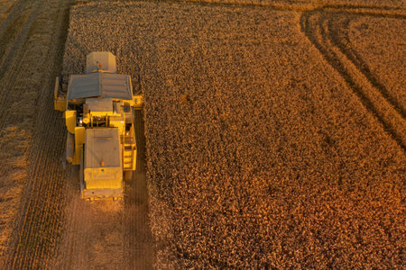 Rear aerial shot of a Combine Harvester harvesting a wheat field at Sunsetの写真素材