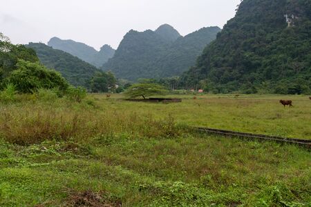 The beautiful hidden Cat Ba Island which is regularly visited by boat tours around Ha Long Bay shot on a bright day in Autumnの写真素材