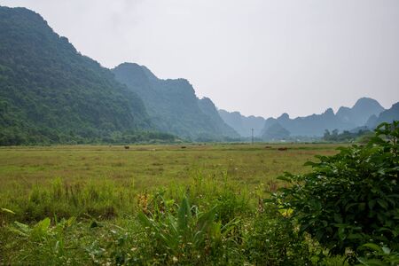 The beautiful hidden Cat Ba Island which is regularly visited by boat tours around Ha Long Bay shot on a bright day in Autumnの写真素材