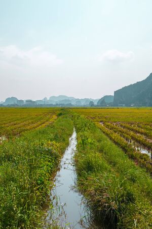 Harvested Rice Fields and limestone mountains in the small village of Tam Coc, Northern Vietnamの写真素材