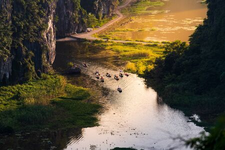 Beautiful sunset over Vietnamese rivers and Landscape from the scenic Mua Caves and Dragon Statue in Tam Coc, Ninh Binh, Vietnamの写真素材