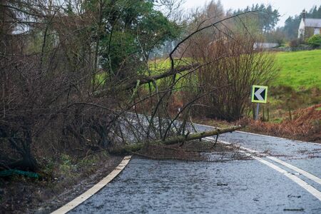 Fallen tree blocking the road in the peak district during Storm Ciara, UK. February 2020の写真素材