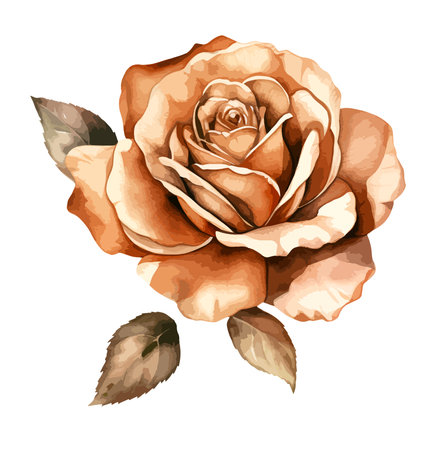 Bronze Rose Flower Watercolor Clipart Vectorのイラスト素材