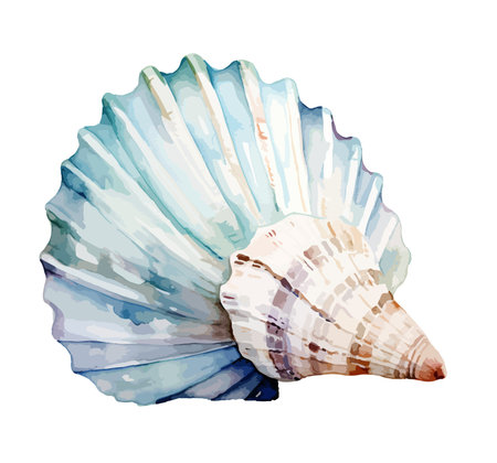 Shell Watercolor Clipart Vectorのイラスト素材